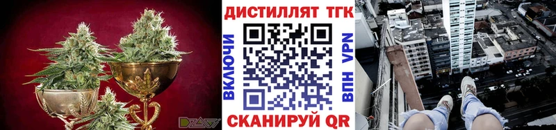 ТГК концентрат  Киржач 