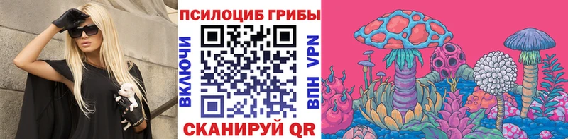 где купить   Киржач  Псилоцибиновые грибы Psilocybine cubensis 